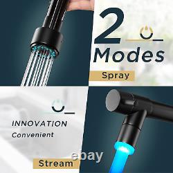 Black LED Kitchen Mixer Taps, Pull Out Sink Tap, Commercial Spring Two Spouts