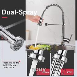 Cobbe Kitchen Sink Mixer Tap, Spring Kitchen Faucet with Pull Down Sprayer, 2 Sp