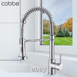 Cobbe Kitchen Sink Mixer Tap, Spring Kitchen Faucet with Pull Down Sprayer, 2 Sp