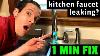 Easy Fix Kitchen Faucet Leaking How To Fix A Leaky Kitchen Faucet In 1 Minute