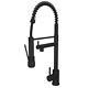 Liquida GR264MB Black Kitchen Mixer Tap With Swivel Spout And Directional Spray