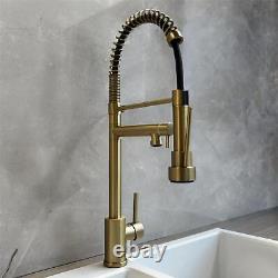 Liquida GR267BR Brushed Brass Kitchen Tap With Swivel Spout & Directional Spray