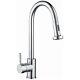 RAK RAKKIT013 Pull Out Kitchen Sink Mixer Tap Side Lever Chrome