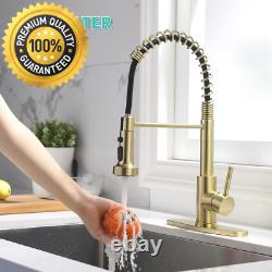 Tohlar Gold Kitchen Tap, Sink Mixer Tap with 3-Function Pull Down