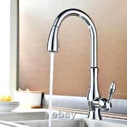 Tracier Gooseneck Single Lever Handle Kitchen Tap with Pull Out Spray Chrome