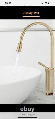 Tront Monobloc Kitchen Countertop Sink Tap Solid Brass In Brushed Gold (7A)